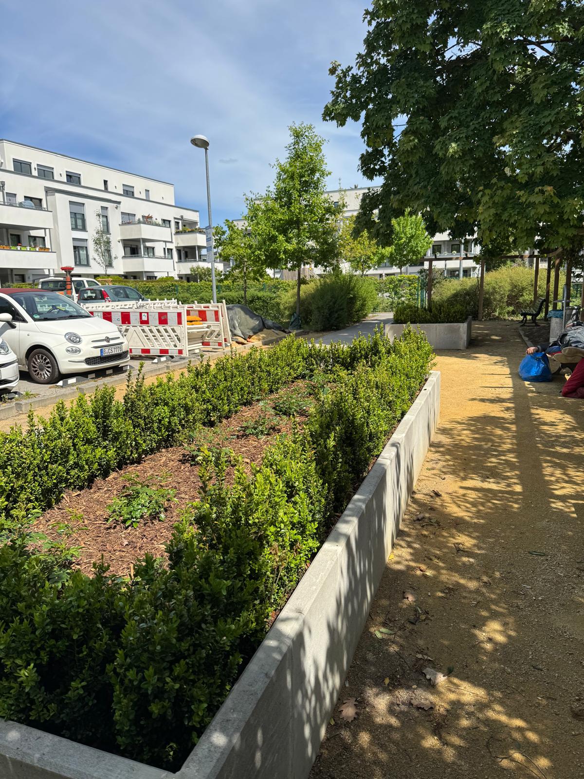 Gartenpflege mit Hecken, Beet und Weggestaltung